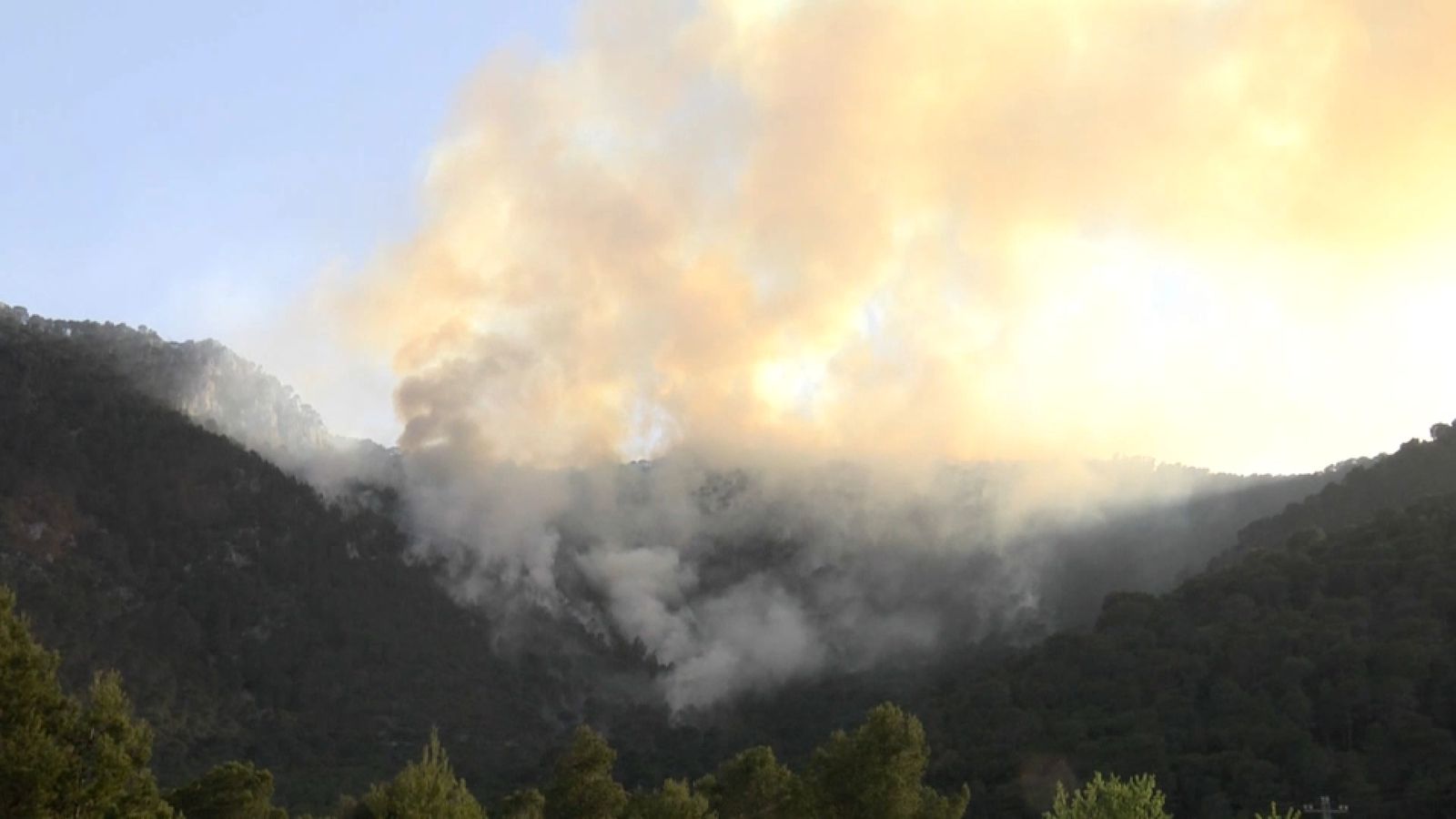 Les flames s'han declarat en la zona del Racó de la Creu, al terme de Tibi