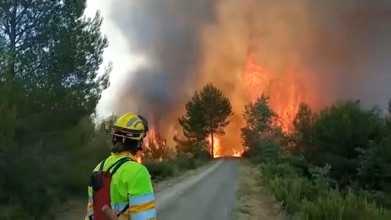 Els propietaris d'explotacions agraries de Caudiel es troben decebuts amb la decisió judicial, que tanca les portes a les responsbilitats penals