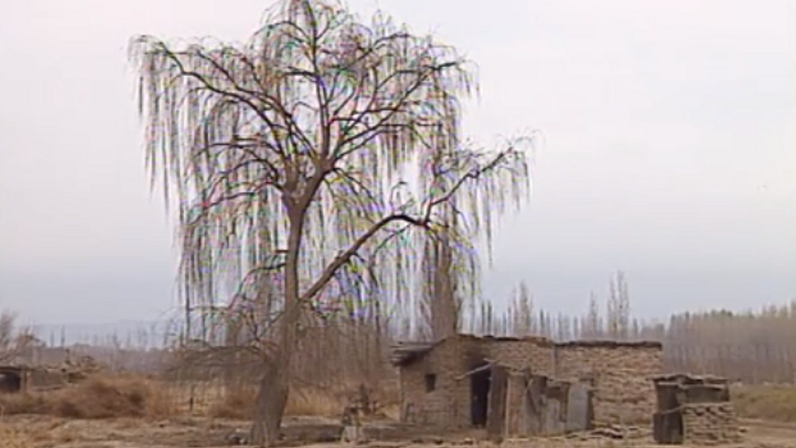 Vivendes abandonades dels pobladors valencians a la Patagònia