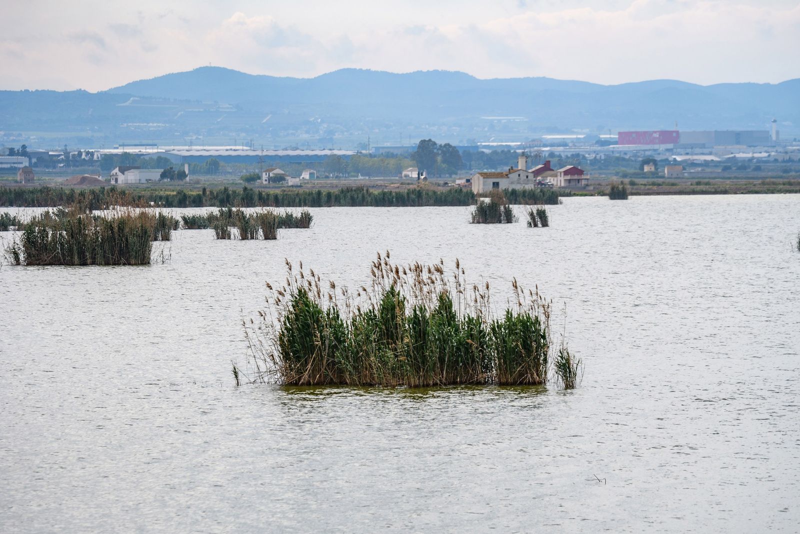 L'Albufera de València