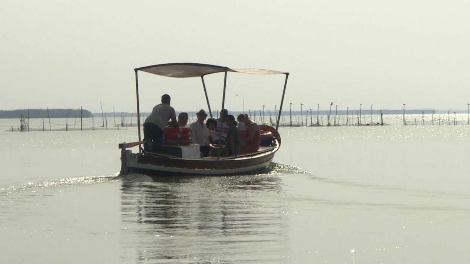 El jurat dels Premis Rei Jaume I demana a la Unesco que l'Albufera siga reserva de la biosfera