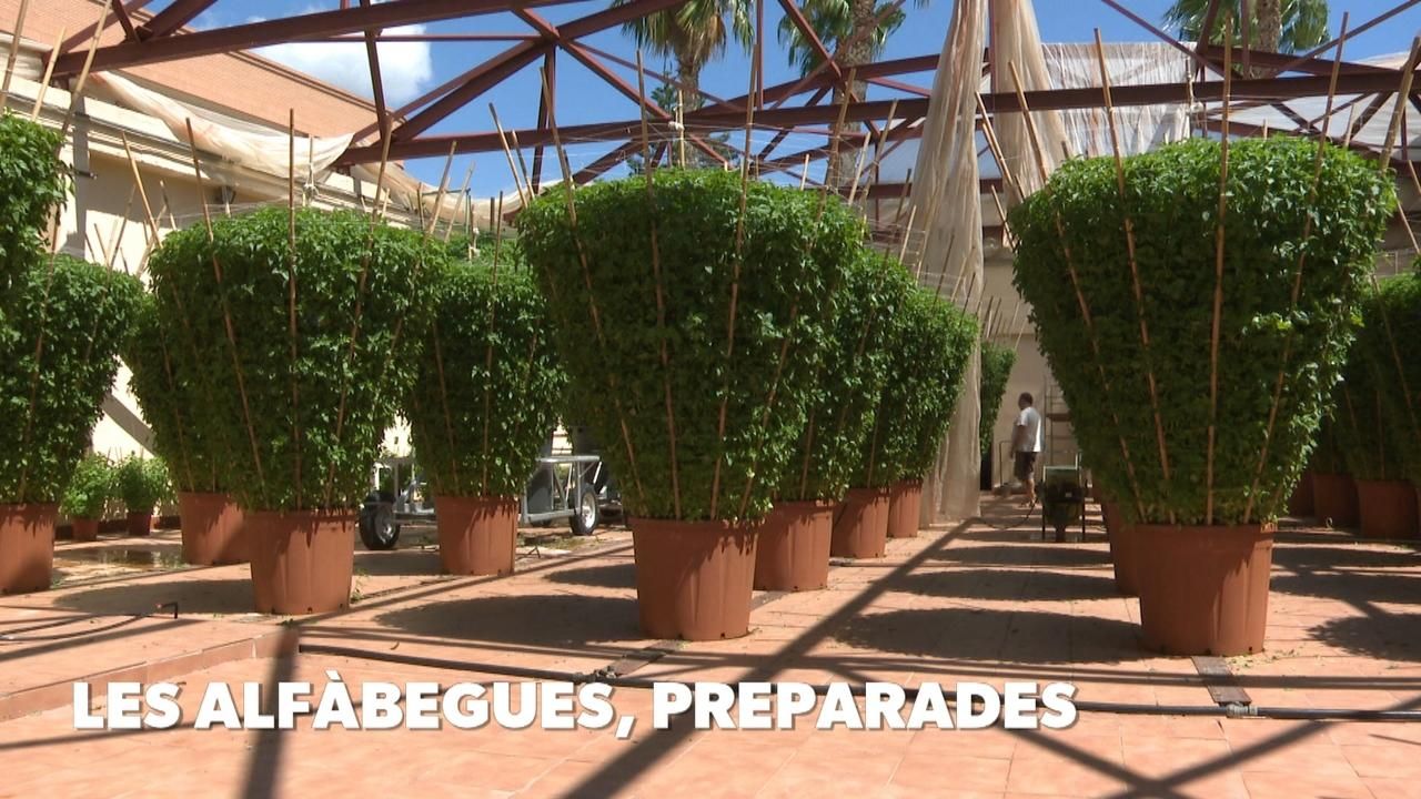 Les alfàbegues, preparades