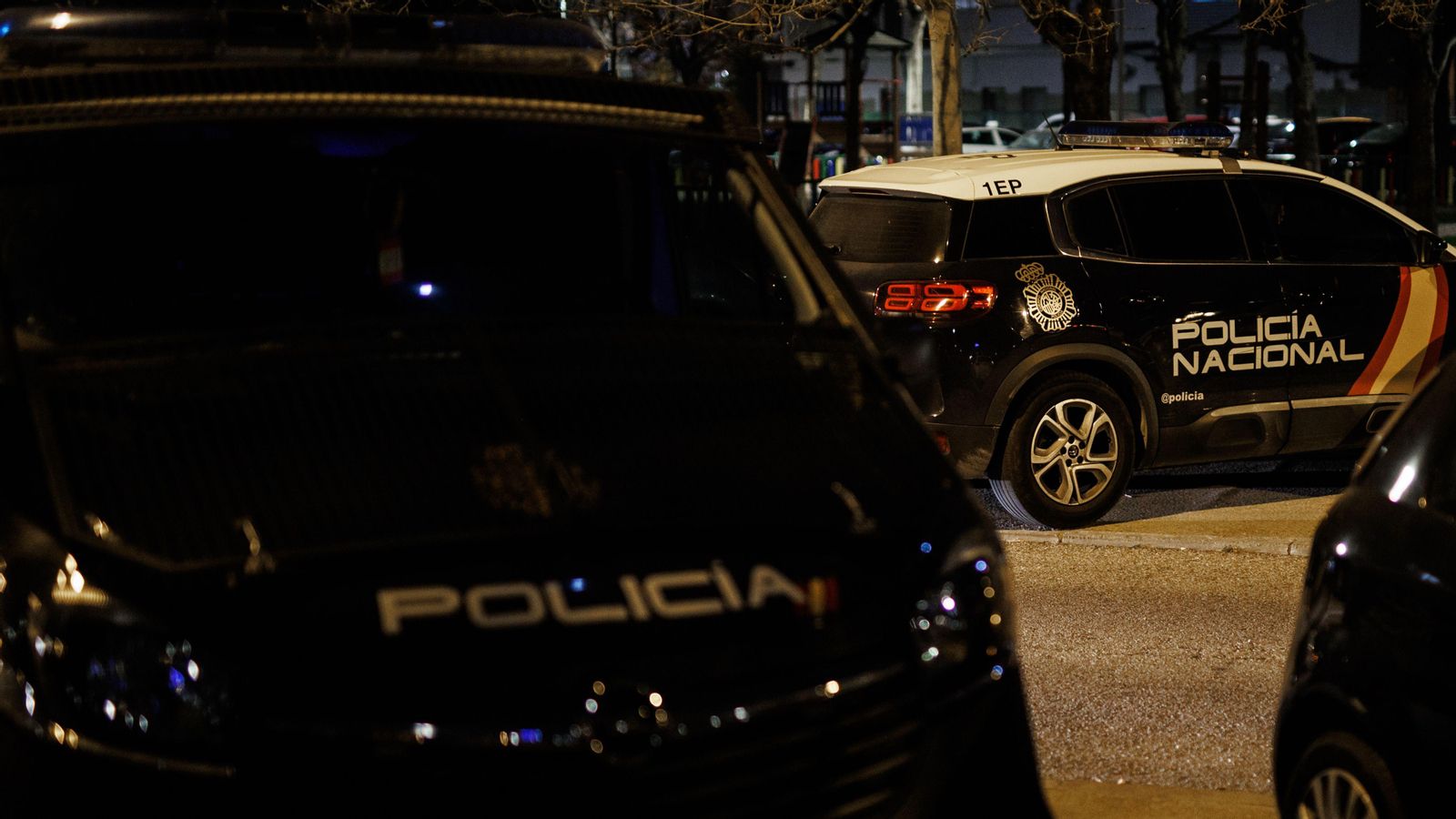 Diversos vehicles de la Policia Nacional