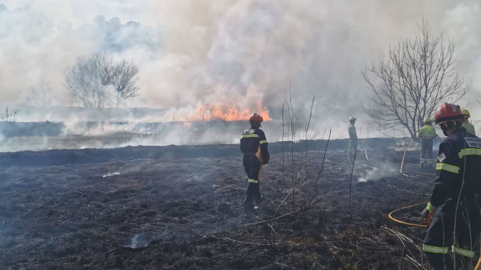 Els efectius lluiten contra el foc a Viver
