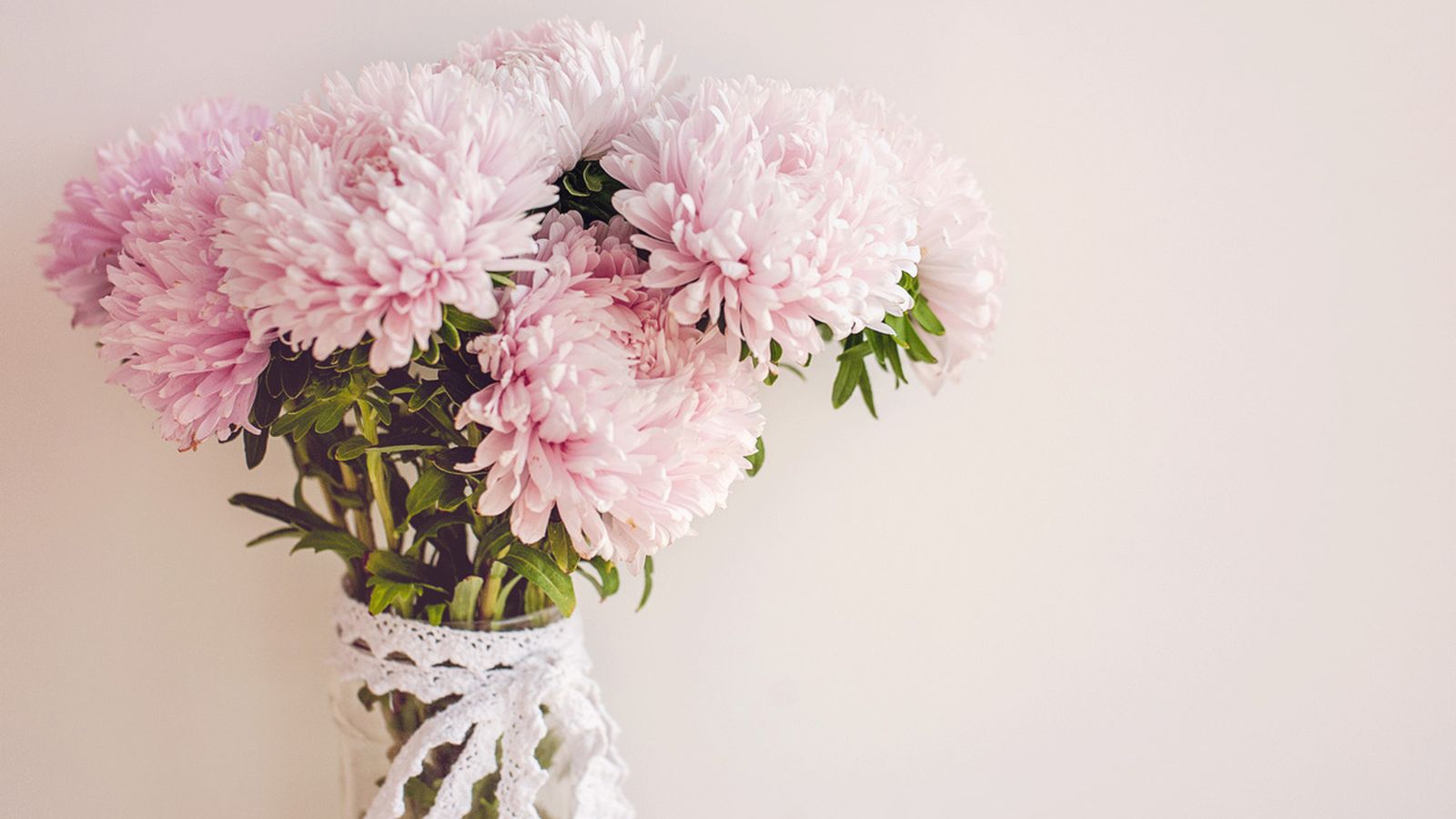 31.10.2022 | 31.10.2022 | Els crisantems, les flors de Tots Sants