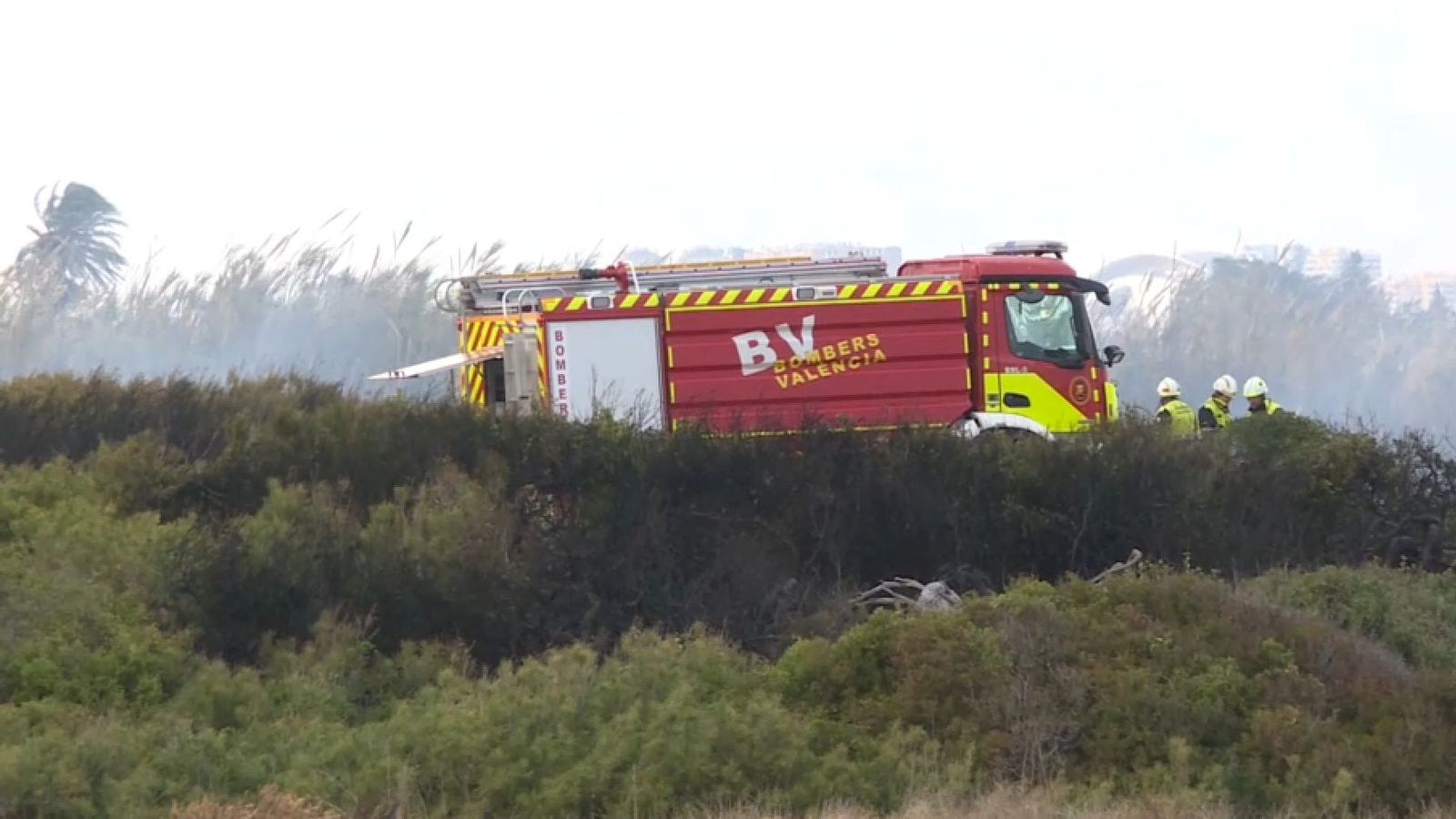 La ràpida intervenció dels bombers va permetre que el foc del canyar quedara controlat en dues hores