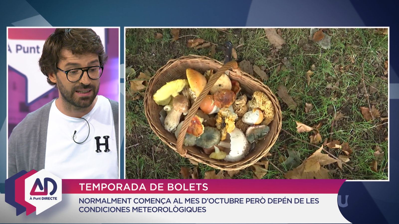 Temporada de bolets