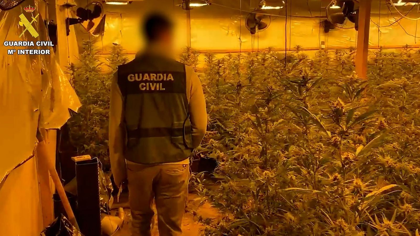 Un agent accedeix a la nau on es cultivava la droga