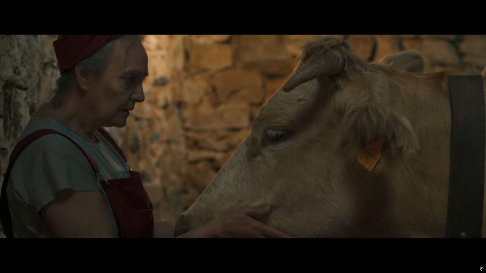 "Cowgirl", una pel·lícula rodada als Ports, arriba als cines Lys