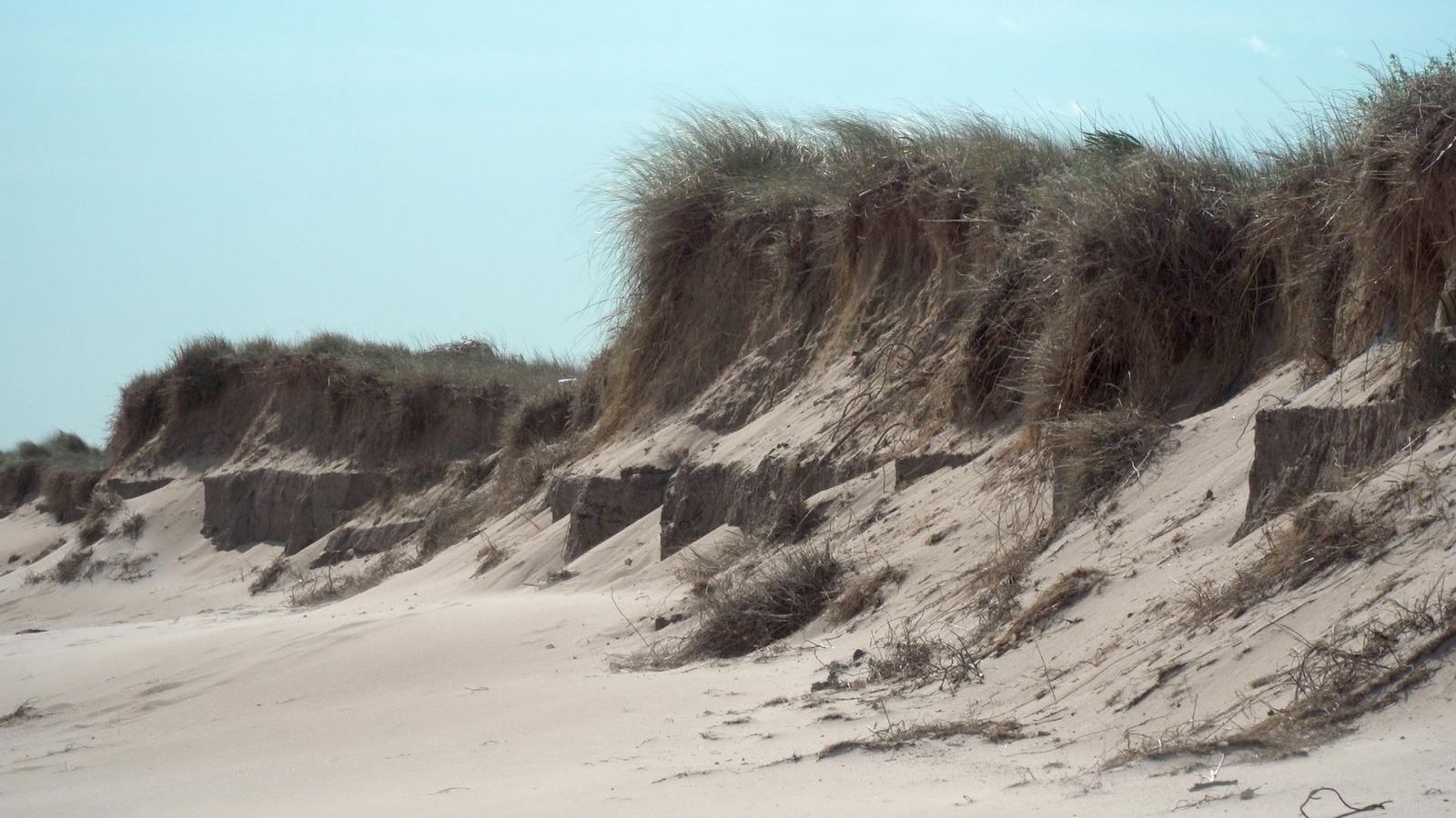 25.04.2020 | Més arena, menys formigó: les dunes i la defensa natural del litoral
