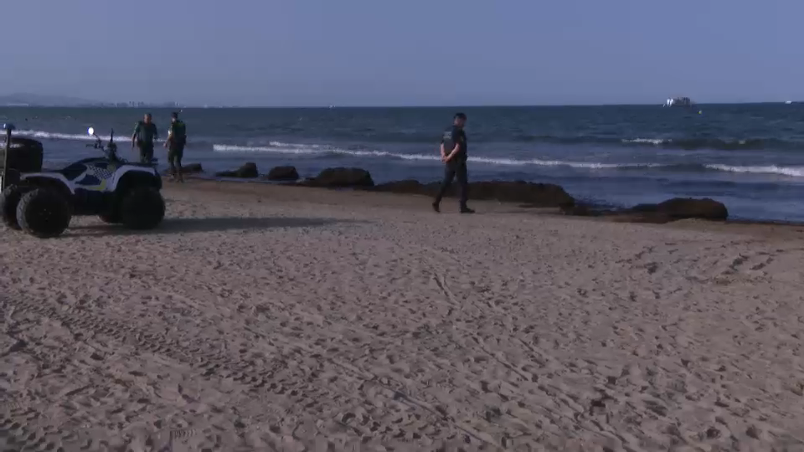 Acumulació d'algues a la plataja del Cabanyal