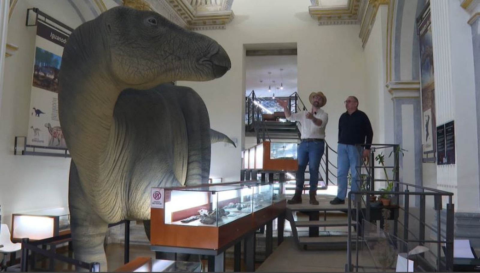 Dinosaure Morella