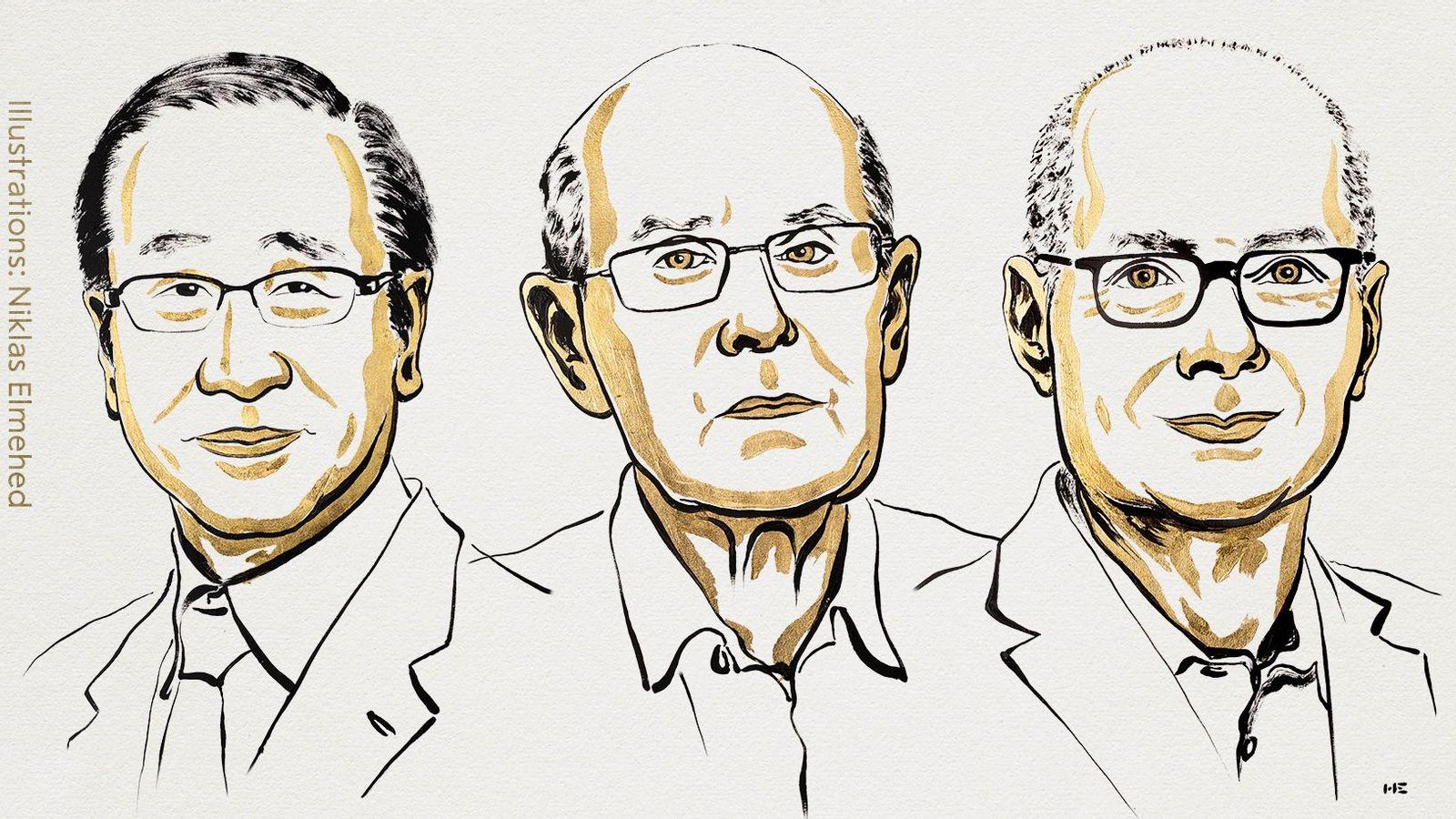 El japonés Susumu Kitagawa, el britànic Richard Robson i el jordà Omar M. Yaghi, guanyadors del premi Nobel de Química