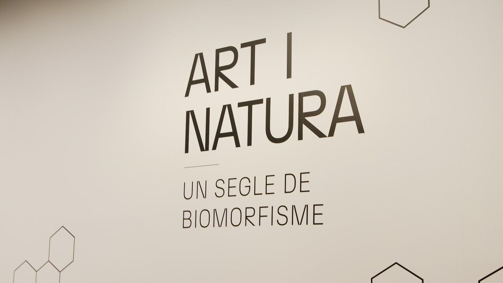 Art i natura: un segle de biomorfi sme