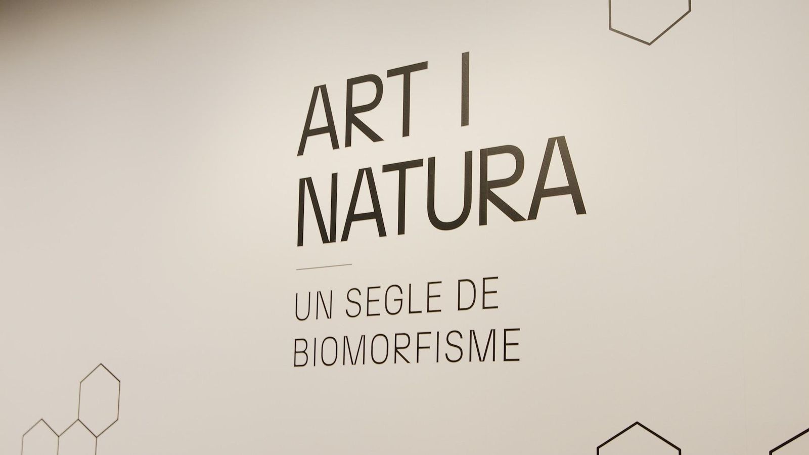 Art i natura: un segle de biomorfi sme