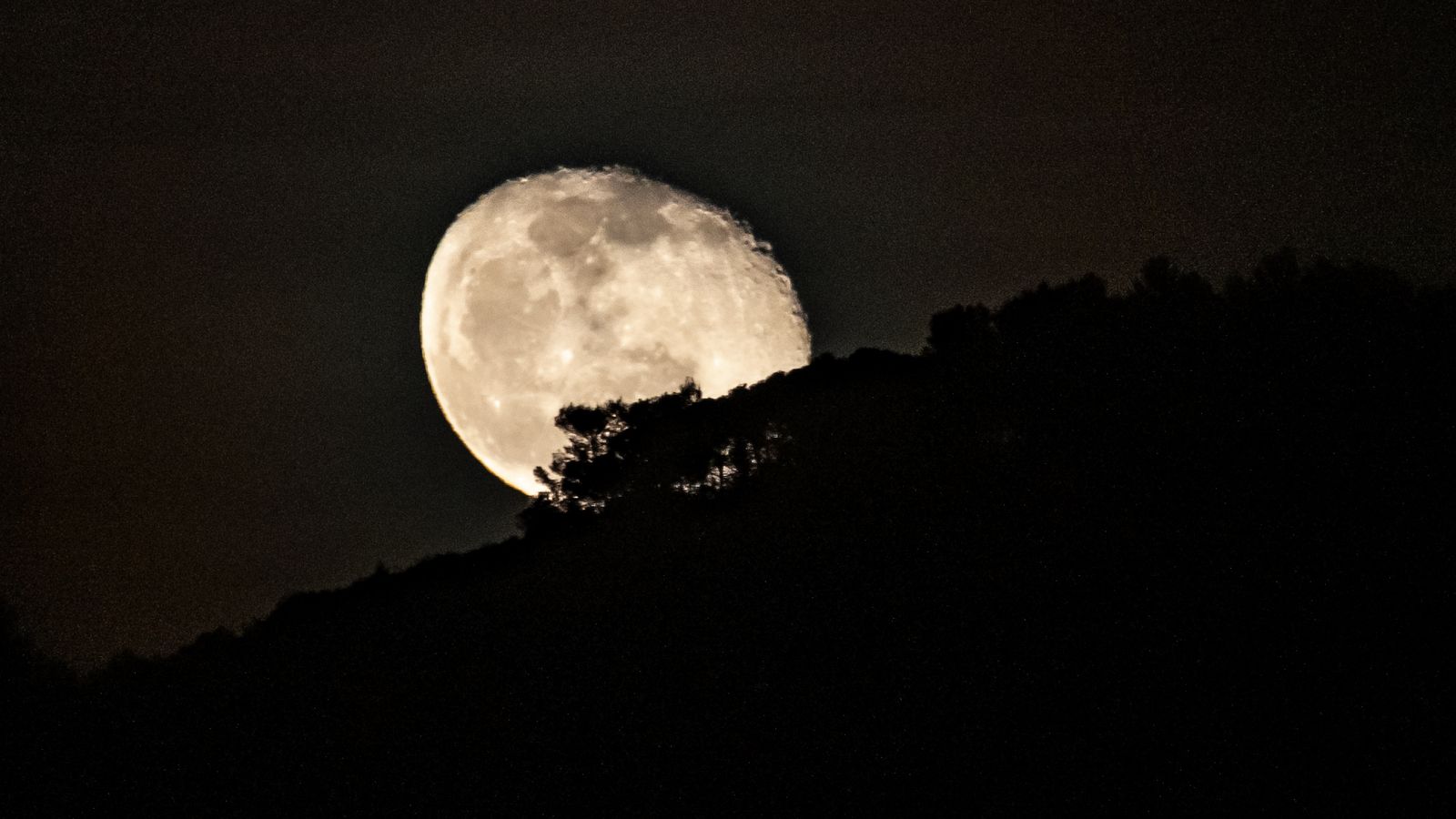 BOCAIRENT, LA VALL D'ALBAIDA,