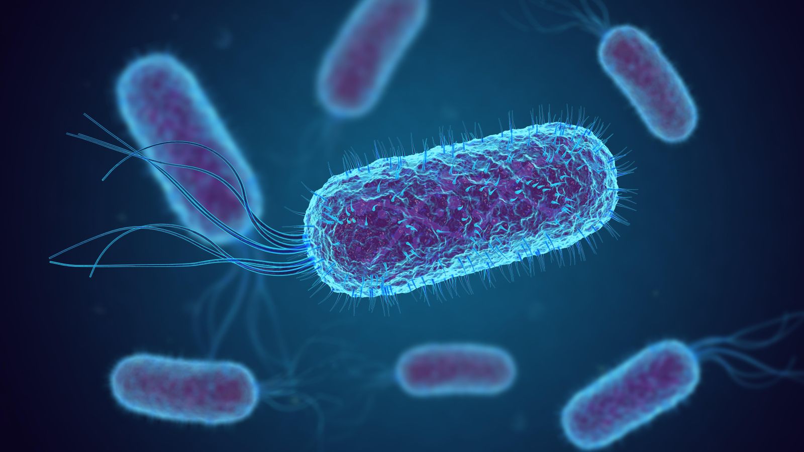 Superbacteris