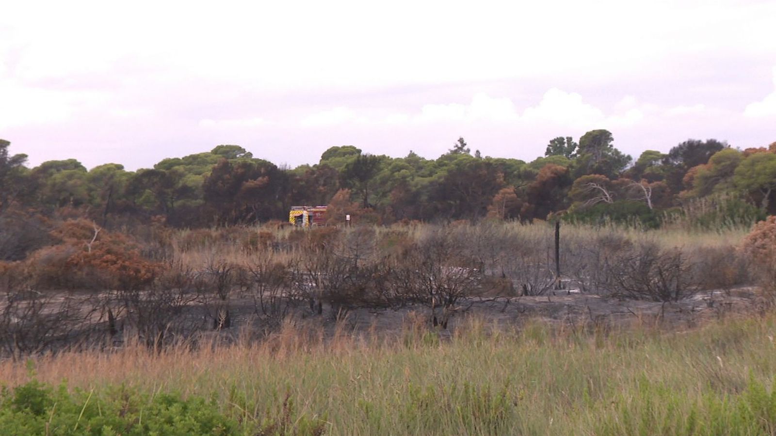 Els bombers continuen hui desplegats a la Devesa refrescant la zona per tal d'evitar rebrots