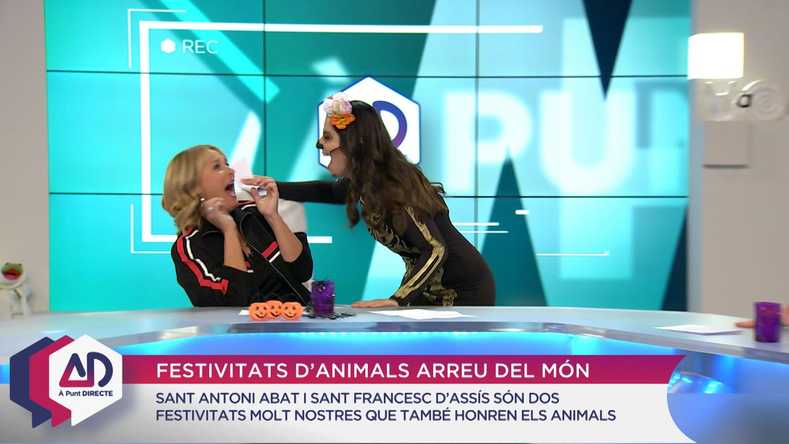 Festivitats animals arreu del món