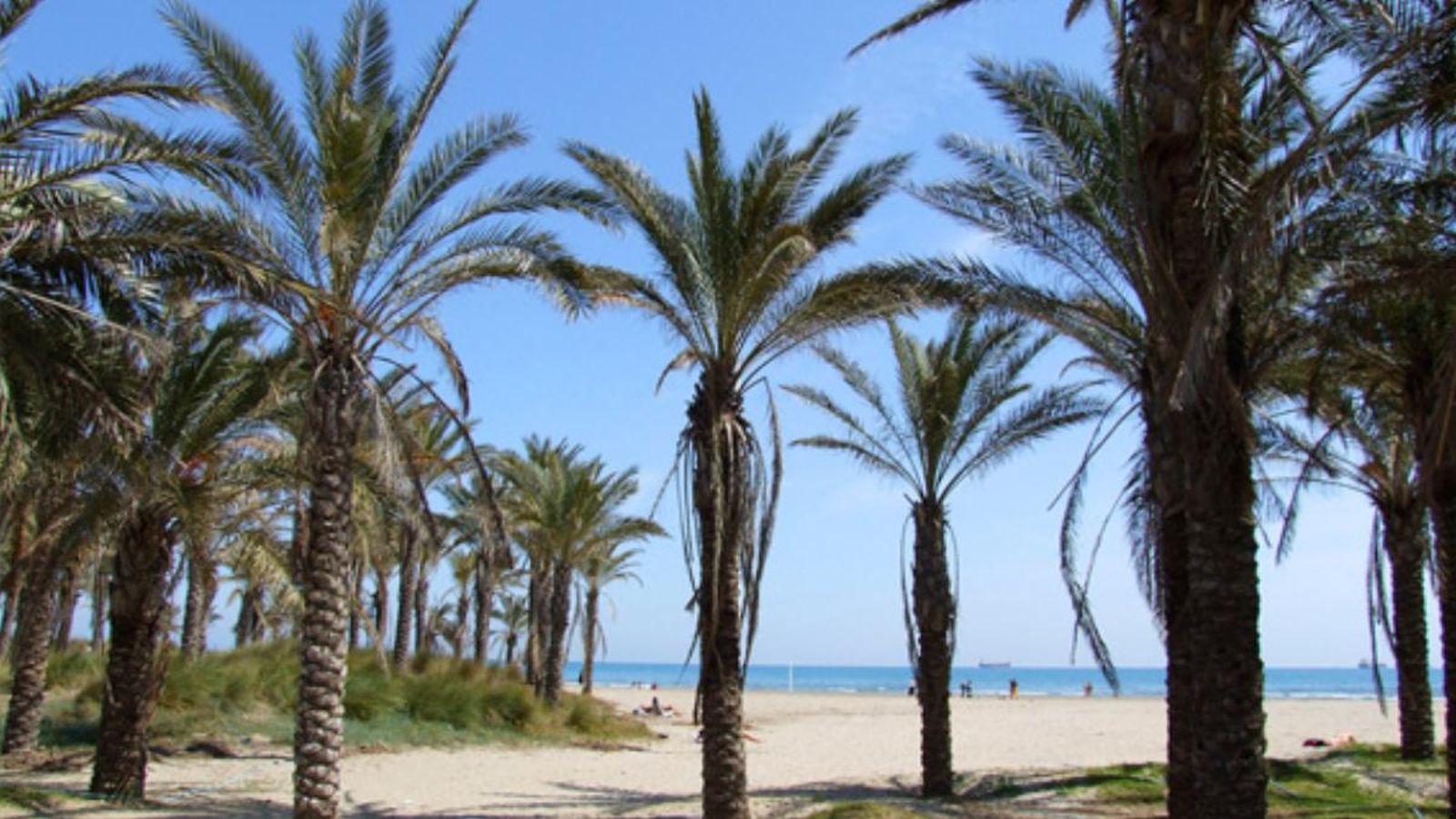 Imatge d'arxiu de la platja del Pinar de Castelló