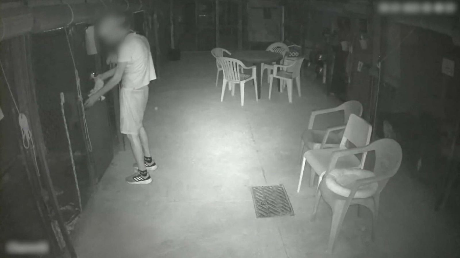 Intrusió del condemnat en la protectora del Verger, on va matar diversos gats