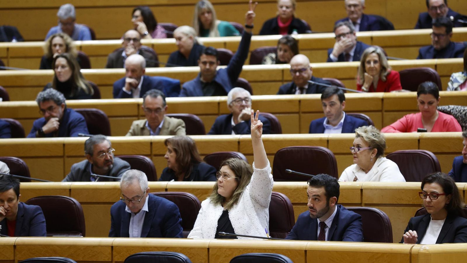 Una diputada del Senat alça les mans durant la votació