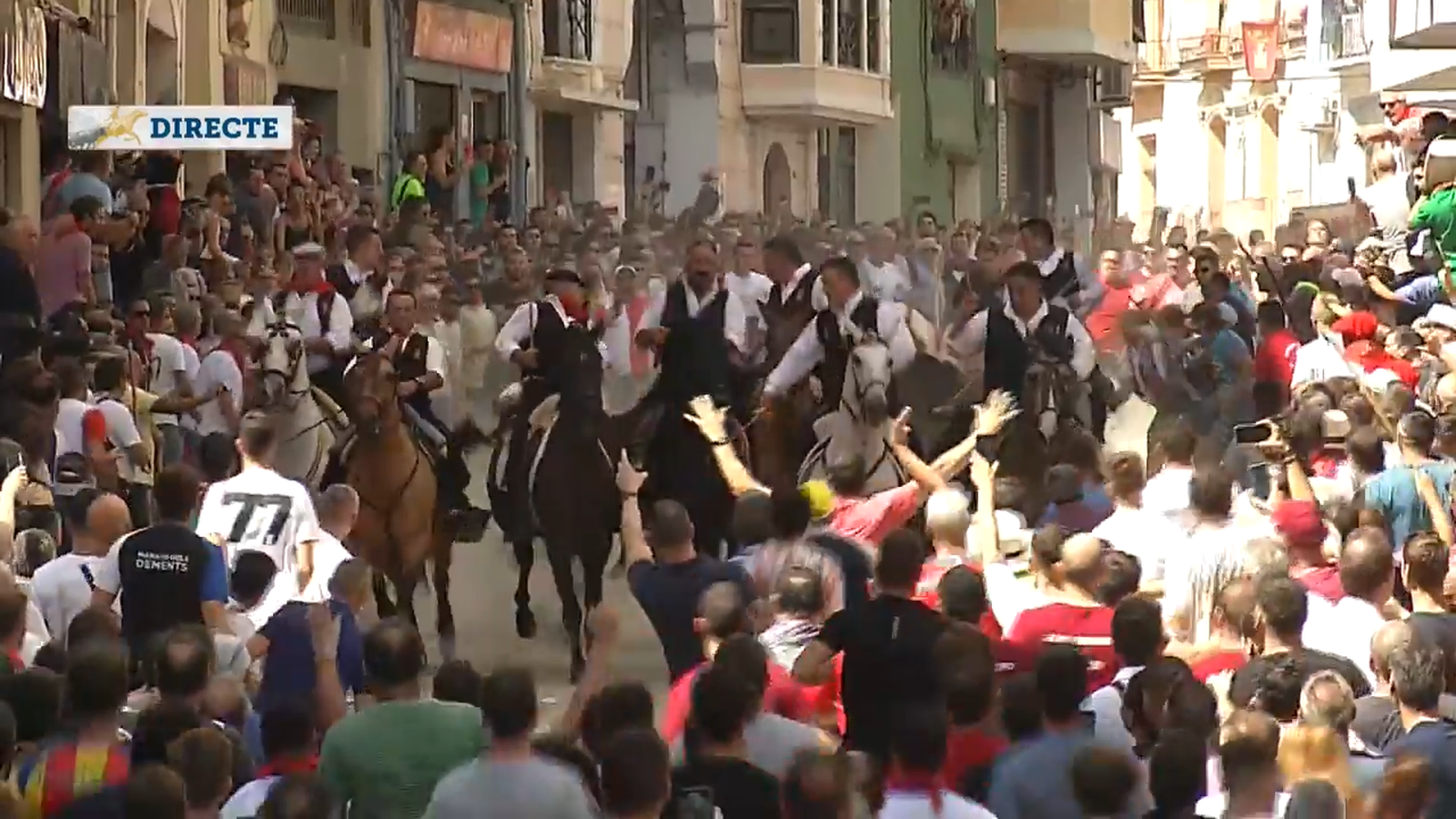 10.9.2022 | ENTRADA DE BOUS I CAVALLS DE SOGORB
