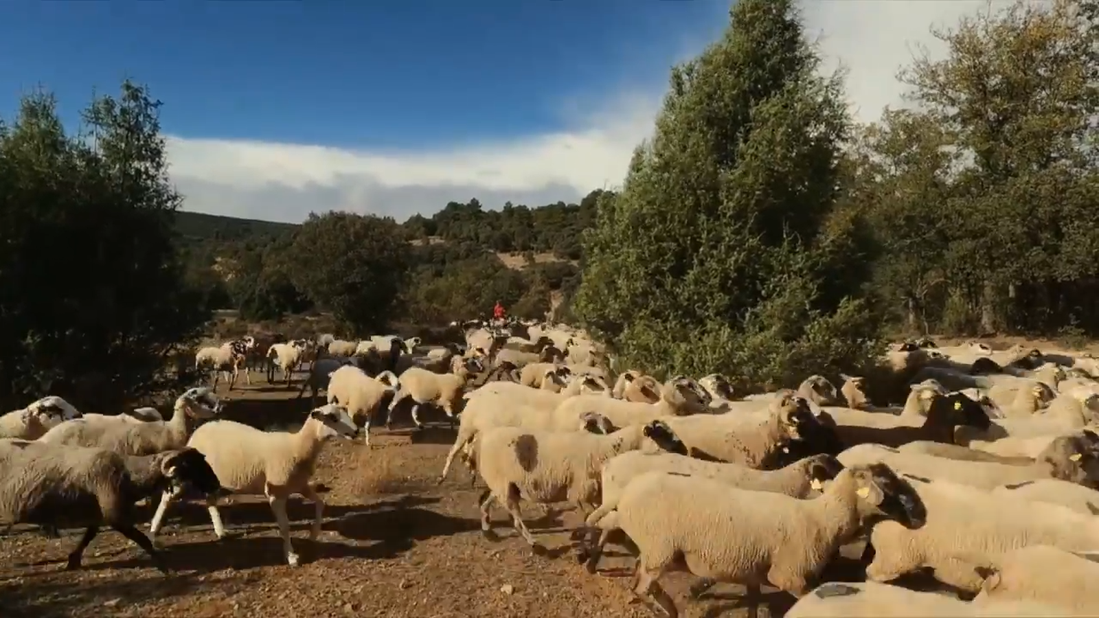De mar i bancal | Entrem a l’hivernacle