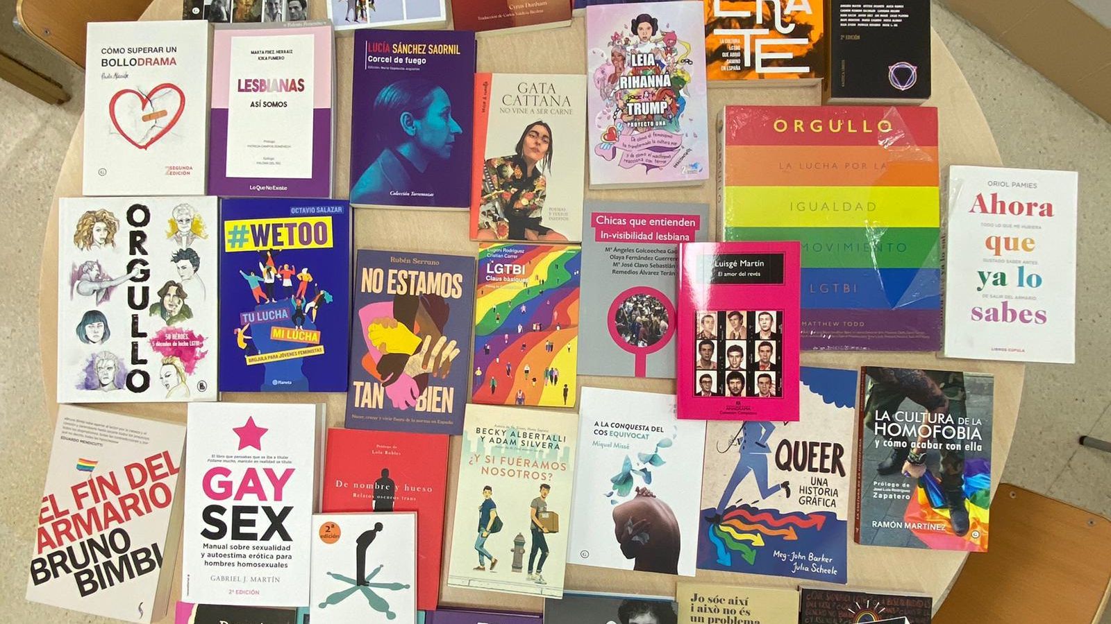 Els 32 llibres LGTBI que l'Ajuntament de Castelló de la Plana vol donar a onze instituts de la ciutat