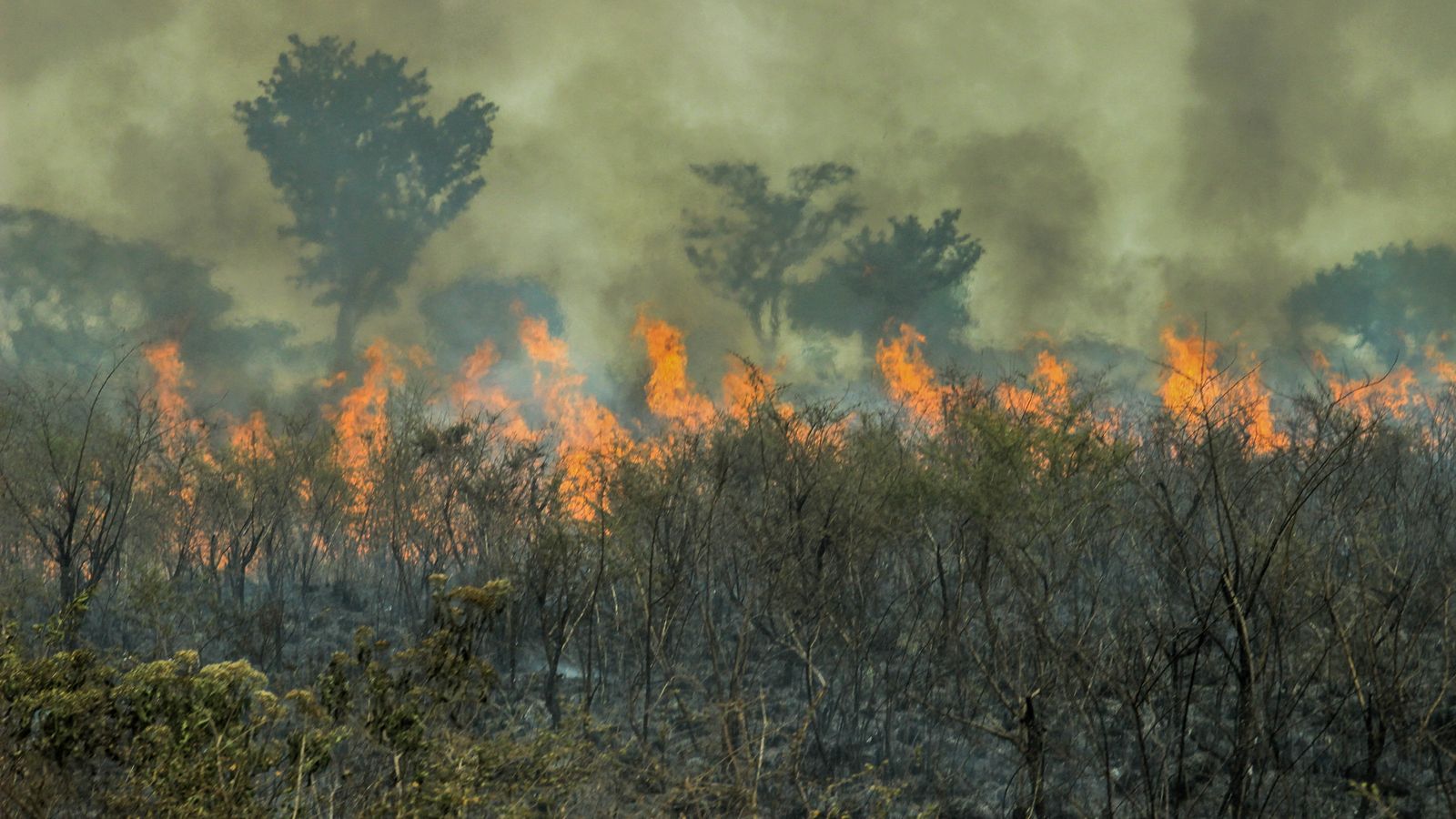 Imatge d'arxiu d'un incendi a la selva de l'Amazones