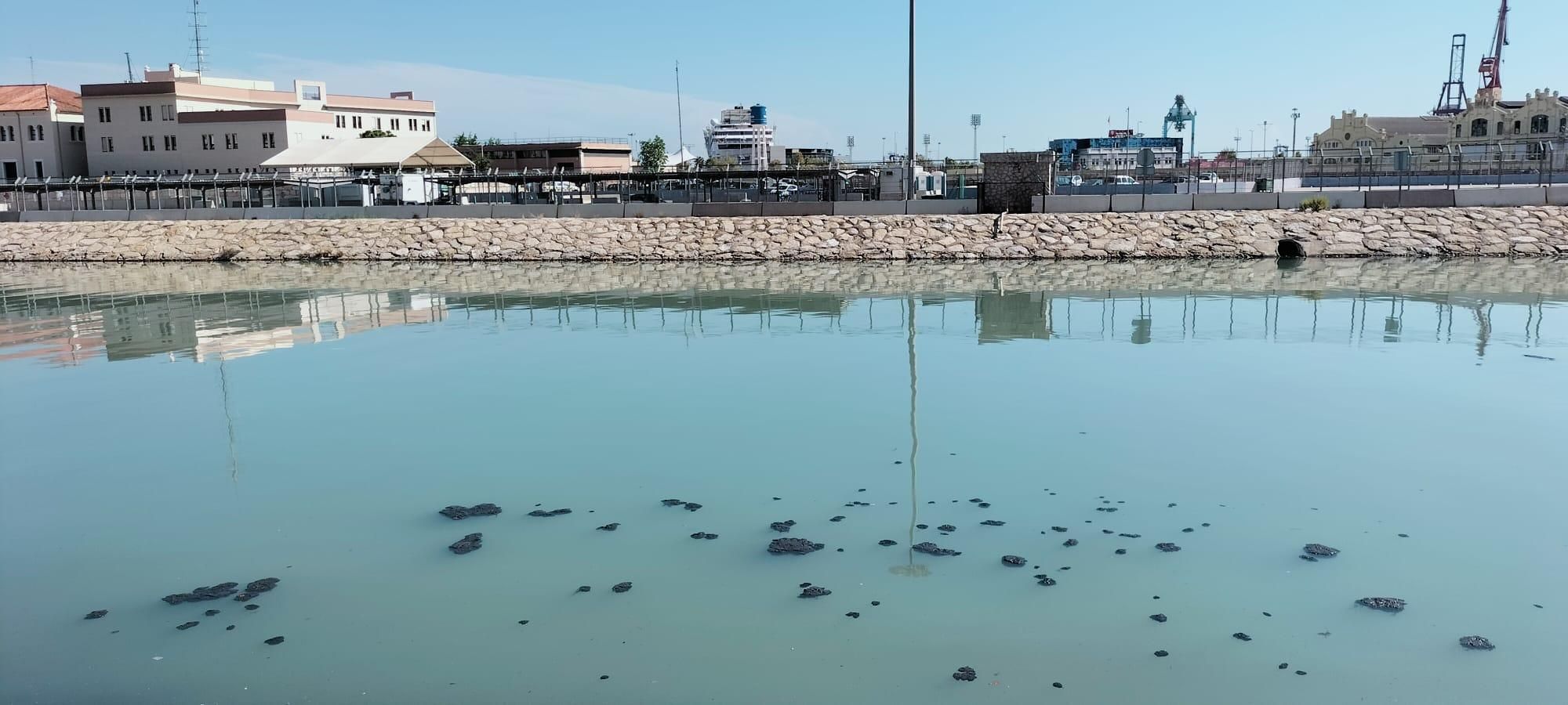 Situació del llit del Túria després de les últimes pluges Situació del llit del Turia després de les últimes pluges