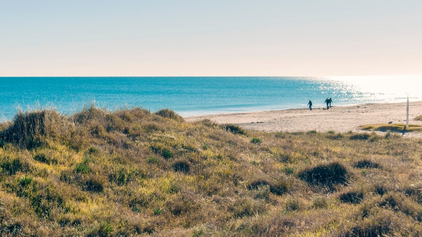 Imatge del litoral de la Comunitat Valenciana