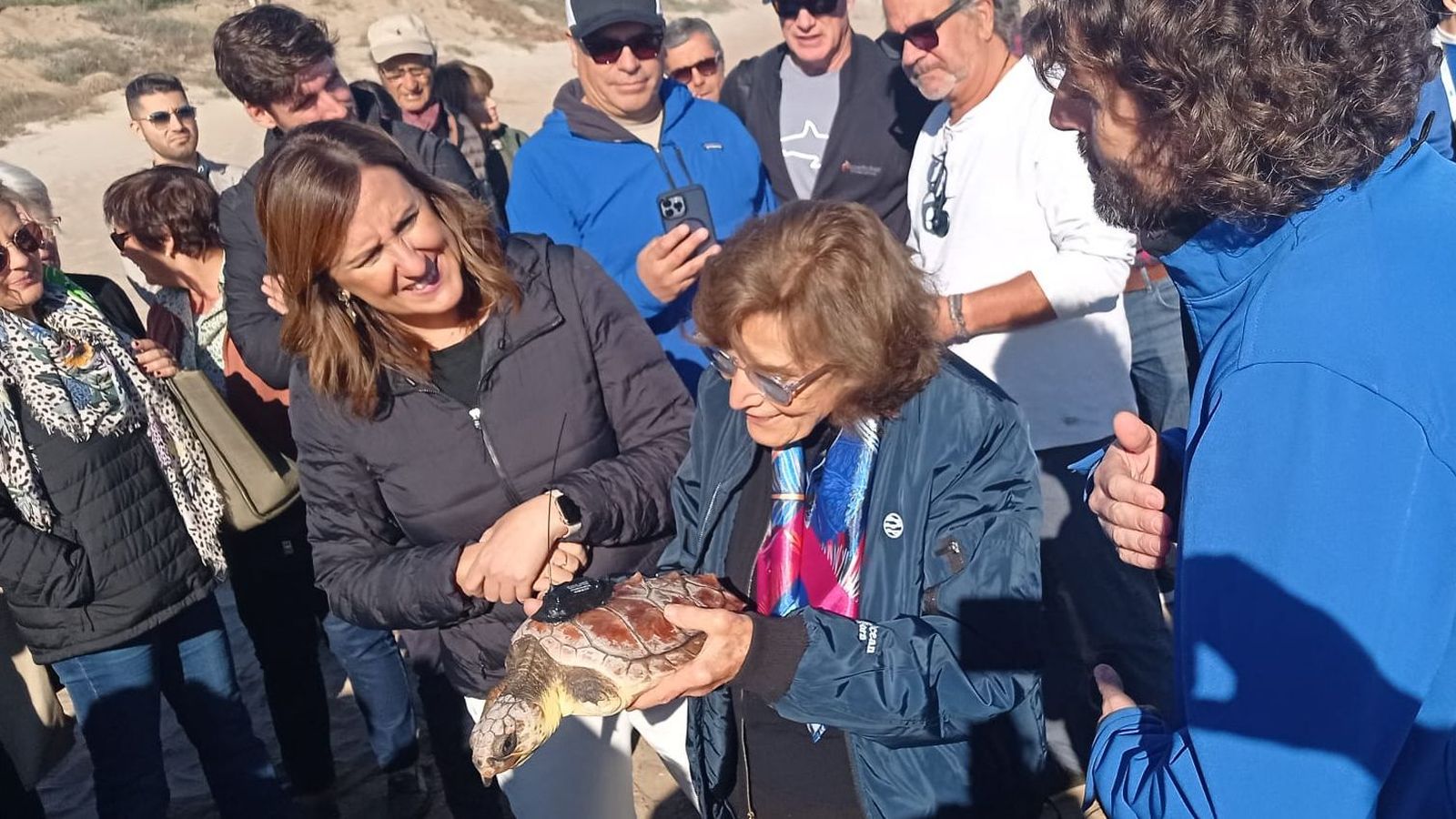 La biòloga, exploradora i activista en defensa dels oceans, Sylvia Earle, amb la tortuga a la platja del Saler