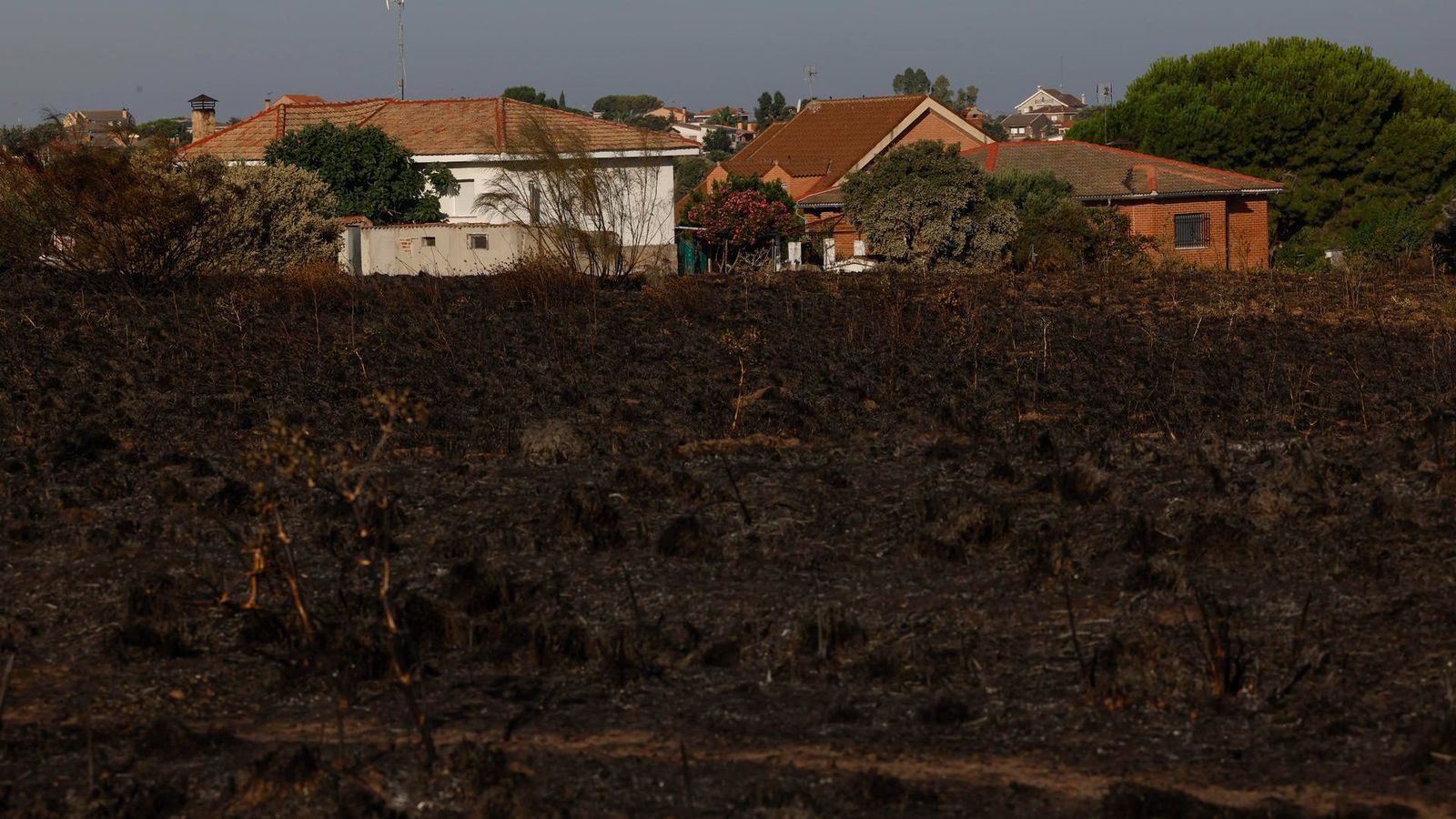 Els efectius han aconseguit frenar les flames, que han quedat a pocs metres d'algunes vivendes, però encara no han donat per extingit el foc