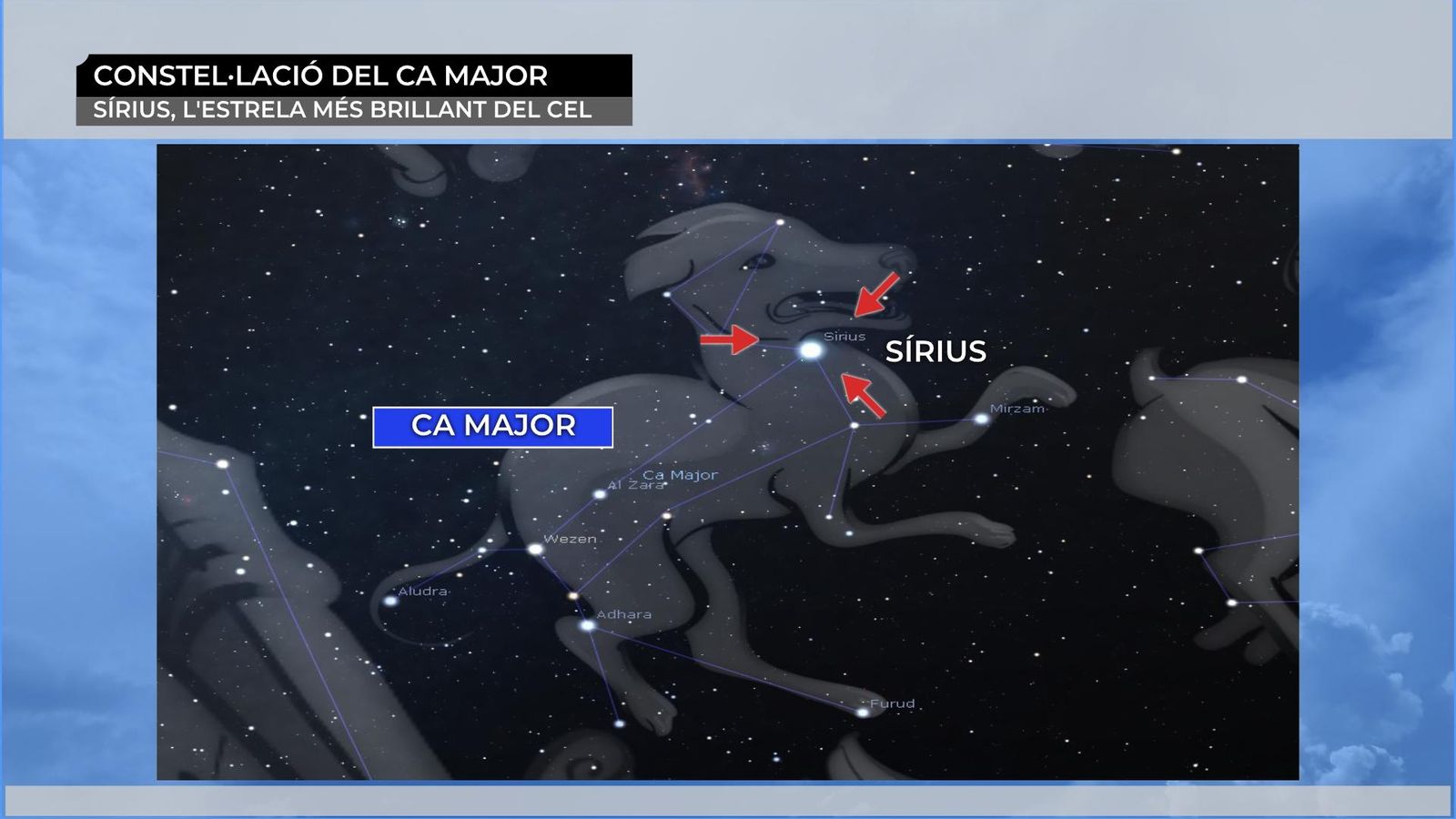 Tenim calor canicular