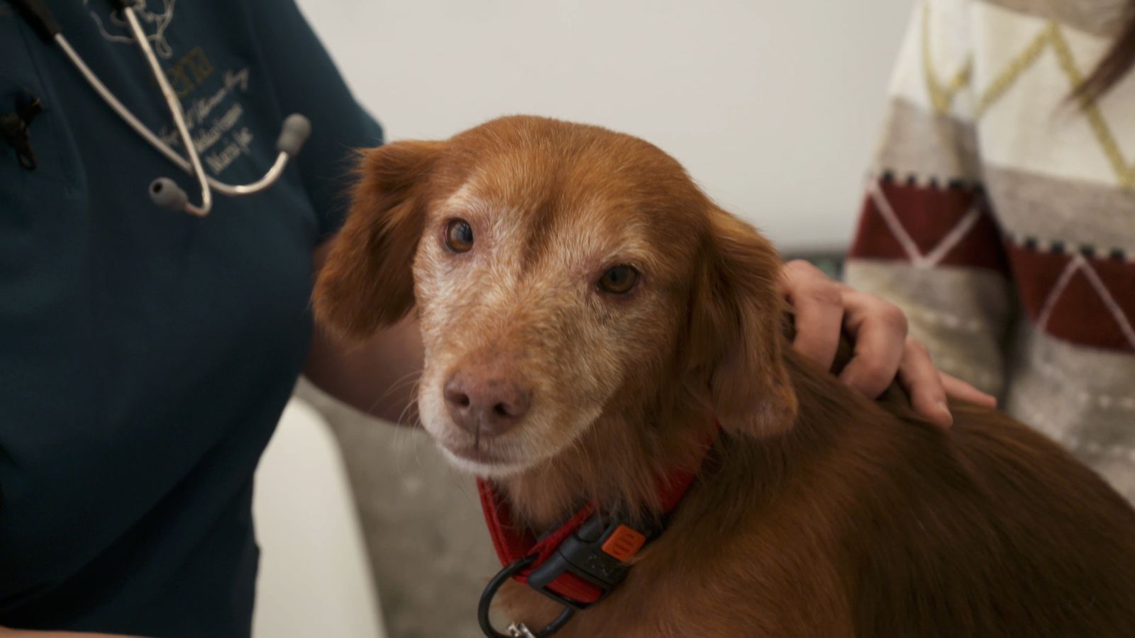 18.04.2026 | Eixir endavant