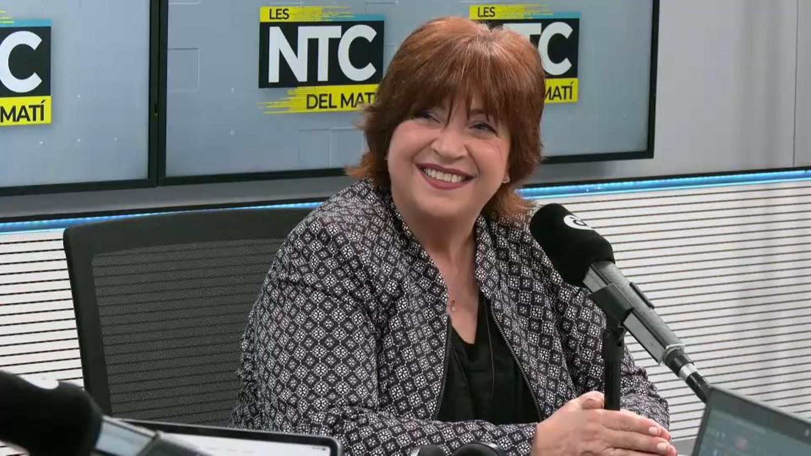 La presidenta de l'Acadèmia Valenciana de la Llengua Verònica Cantó