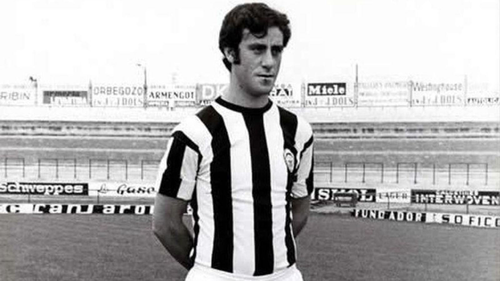 Del Bosque jove en el Castelló