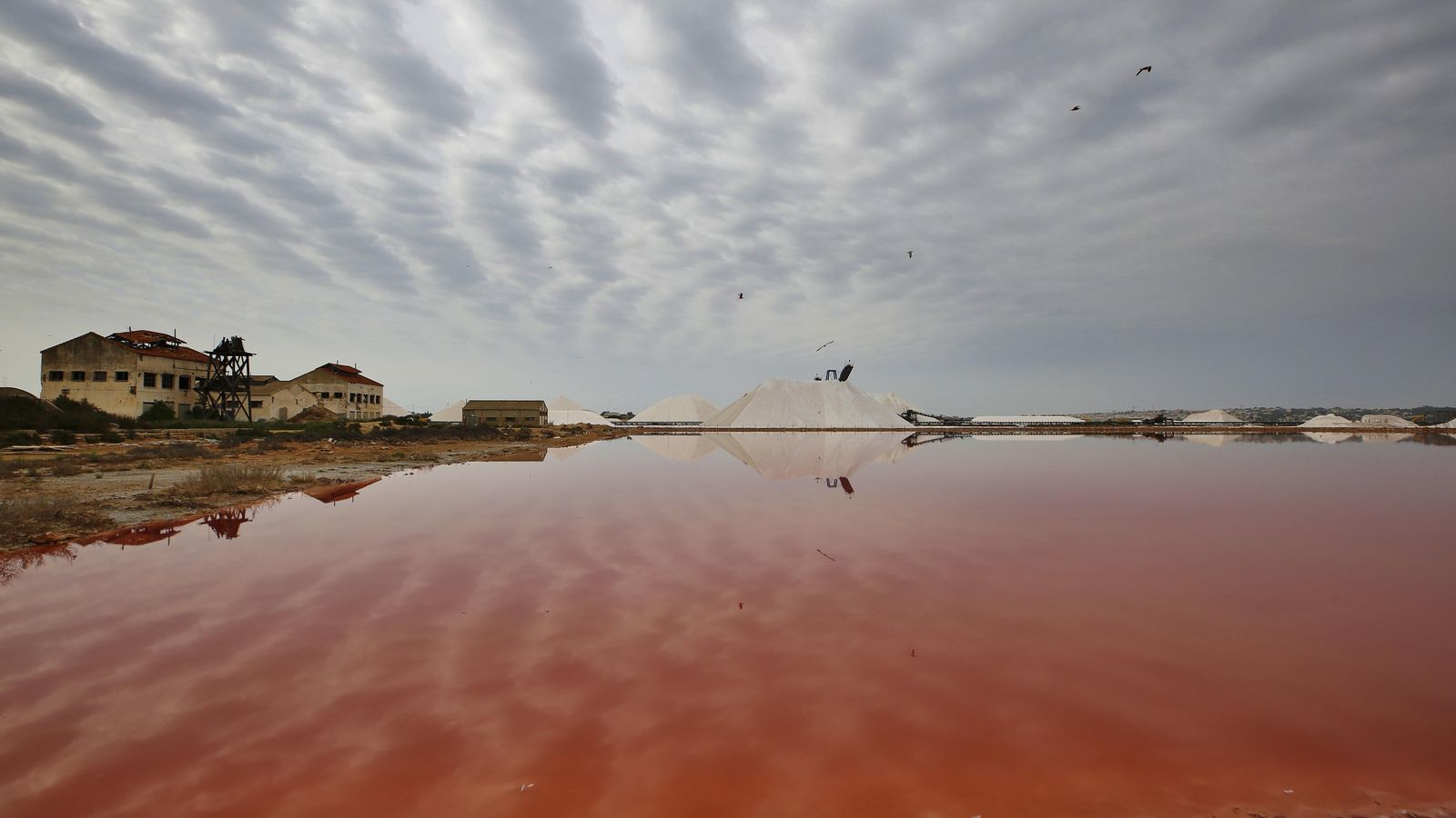 Les Salines de Torrevella
