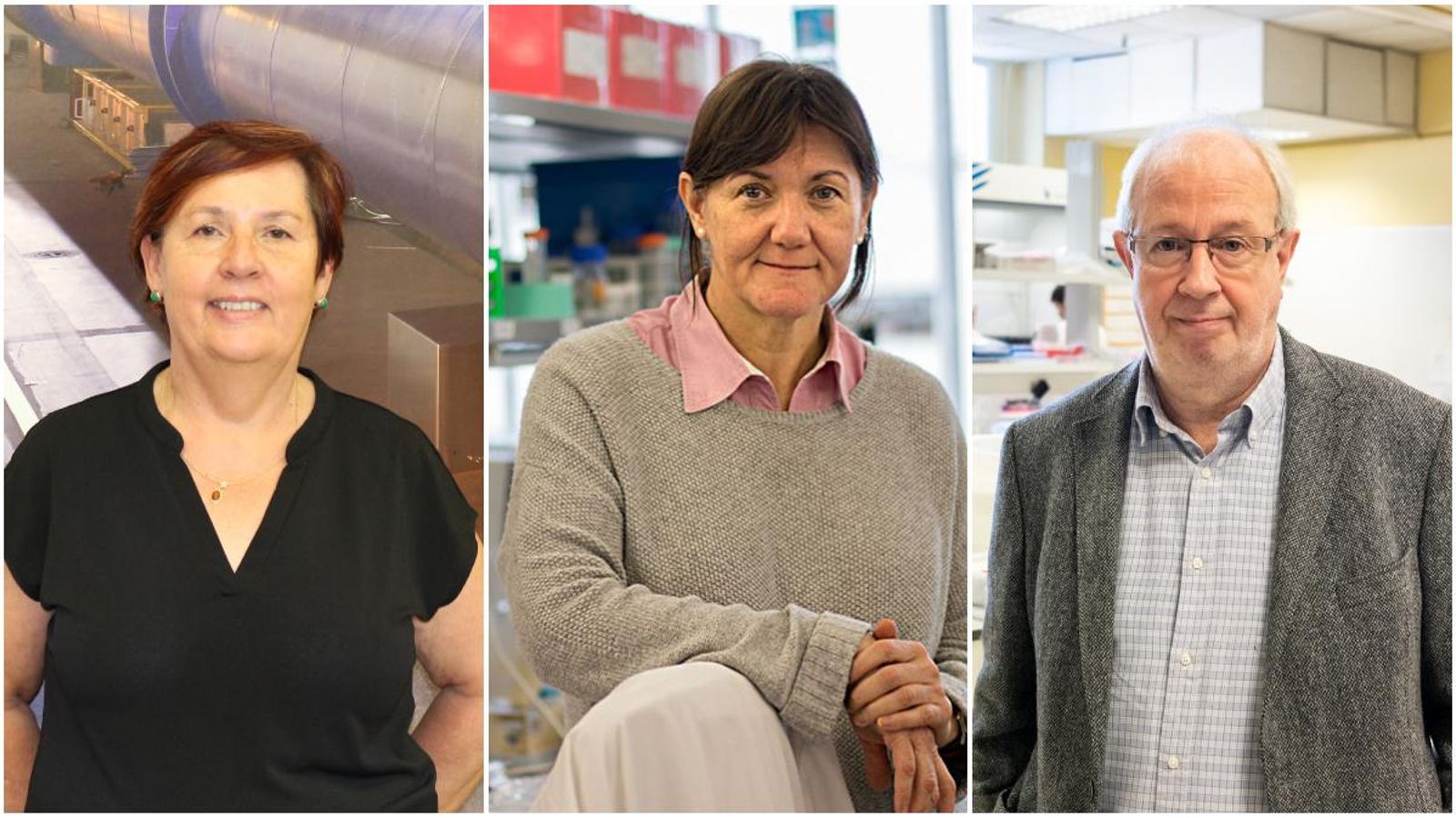 D'esquerra a dreta, els guardonats: Mari Carmen Garcia, Isabel Fariñas i Ramón Martínez Máñez