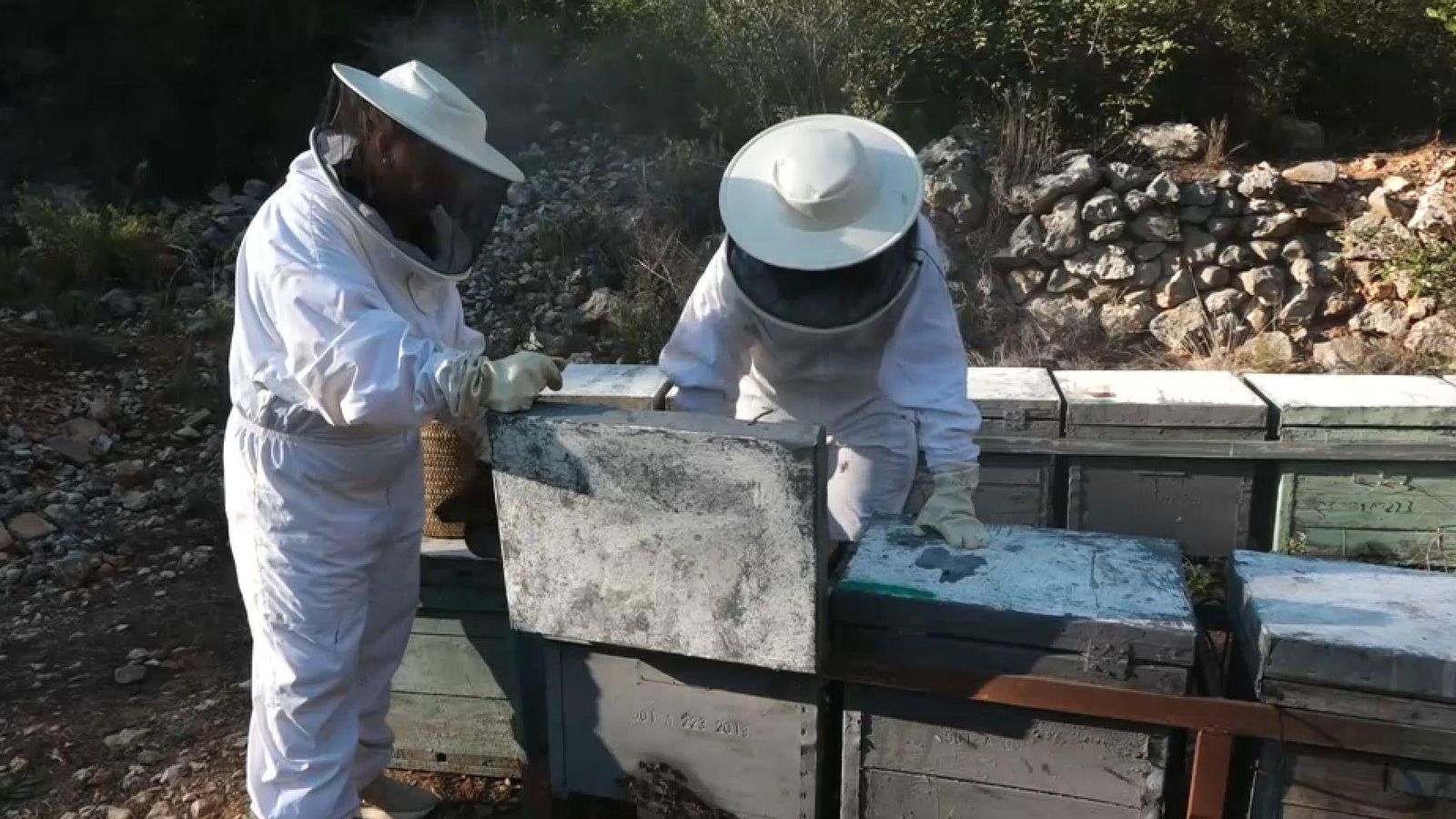 Mare i filla es van decidir a continuar amb l'apicultura, un negoci que va iniciar el seu avi