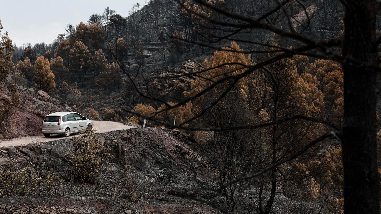 Un vehicle avançar per un camí que travessa la zona forestal cremada en l'incendi de la Vall d'Uixó