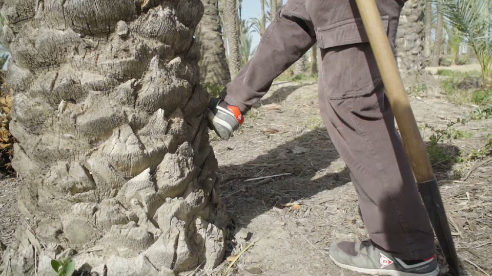 La posició del peu s'ensenya des de ben menuts