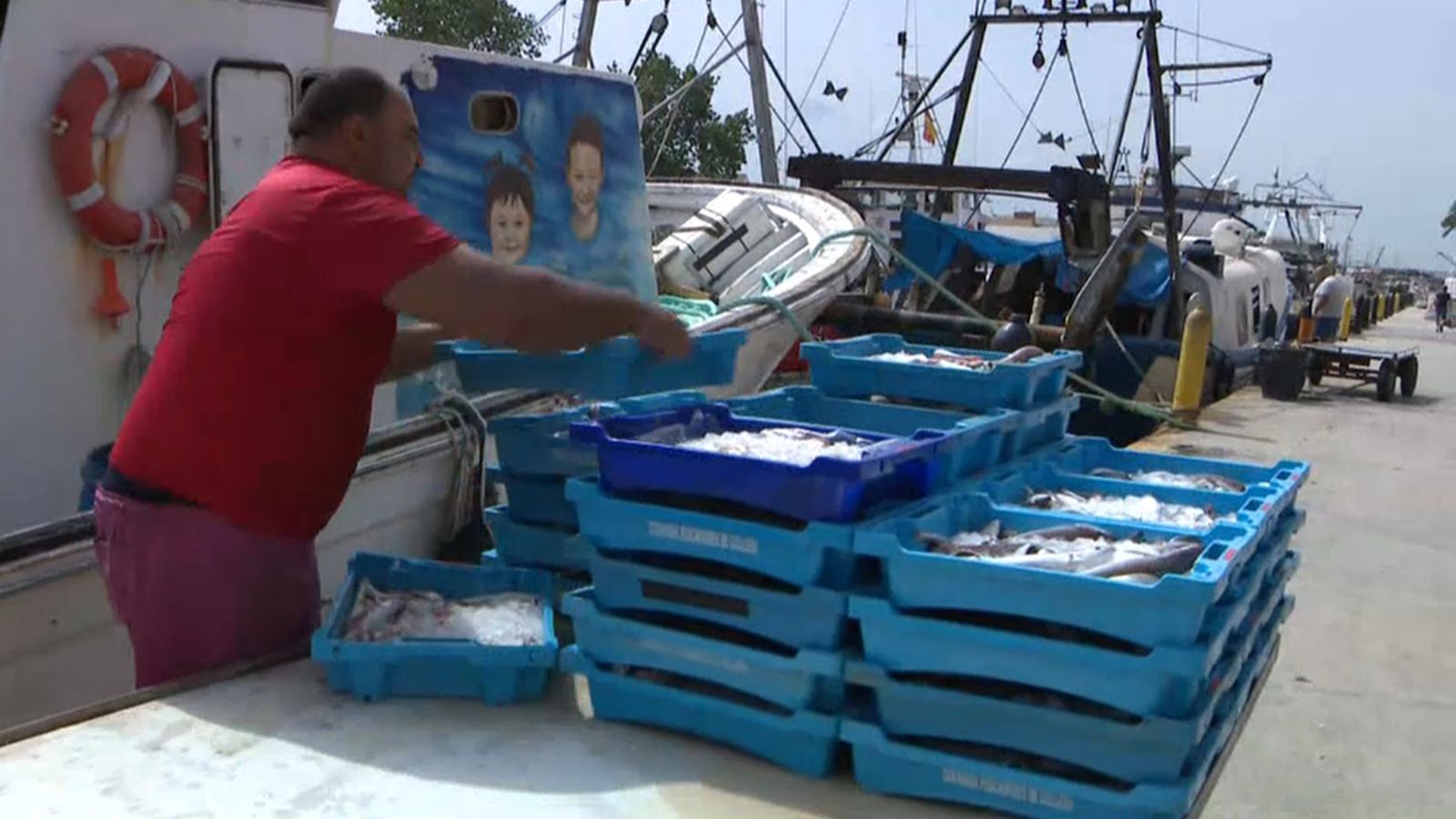 Les confraries vinculen la baixada del consum de peix fresc amb la infecció per ‘Anisakis’