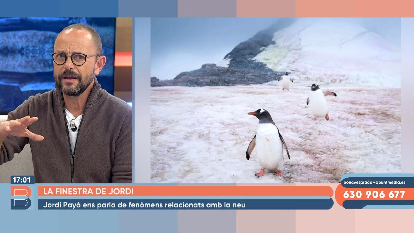 29.12.2022 | El fenomen de la neu rosa