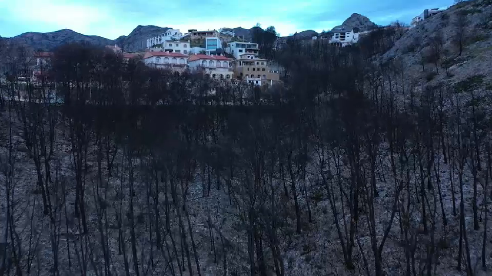 vod 3 pgma 3 balanza