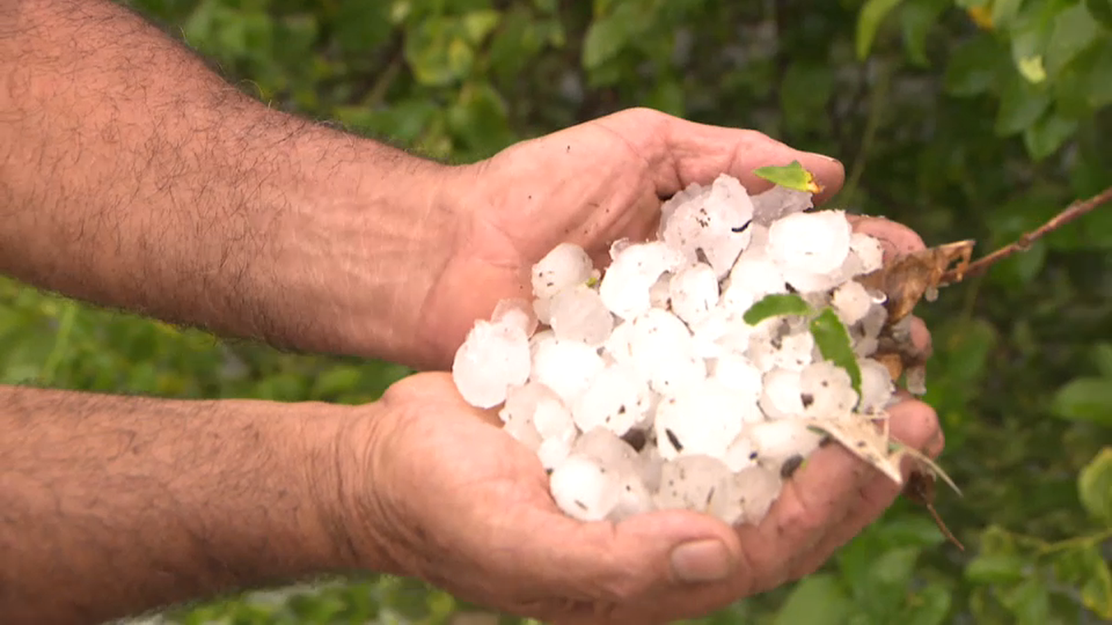 Les indemnitzacions per la pedra caiguda el dimarts passat poden arribar als tres milions d\'euros