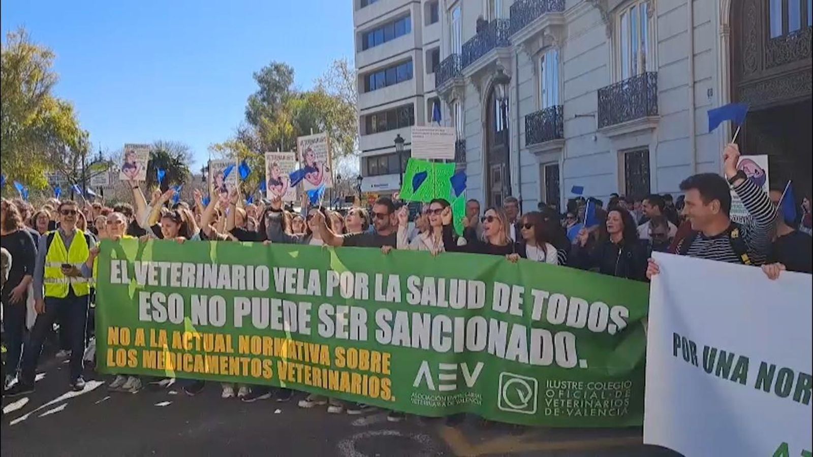 Protesta dels veterinaris a València