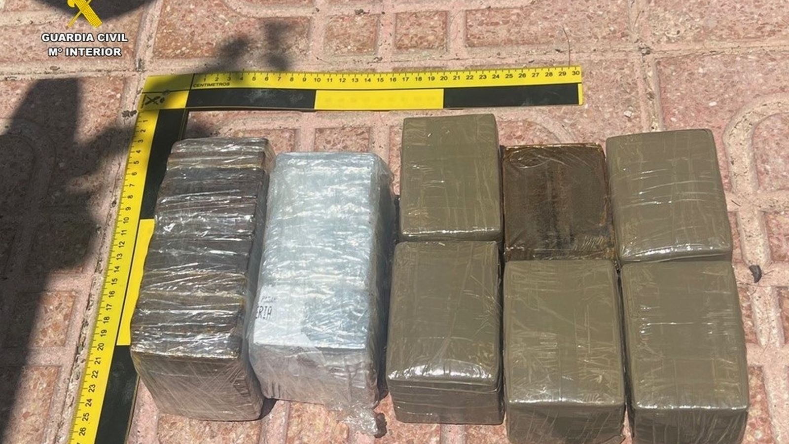 En imatge, la droga confiscada en el pis de la família