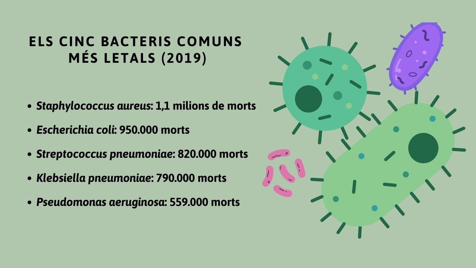 Les infeccions bacterianes comunes van matar 7,7 milions persones el 2019 al món